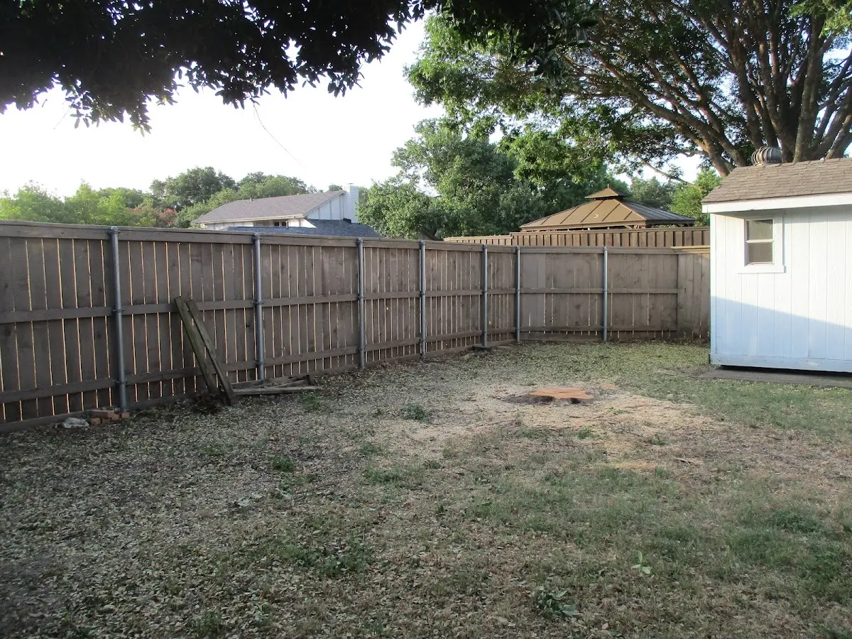 Cleared yard after professional tree removal in Boyne Falls